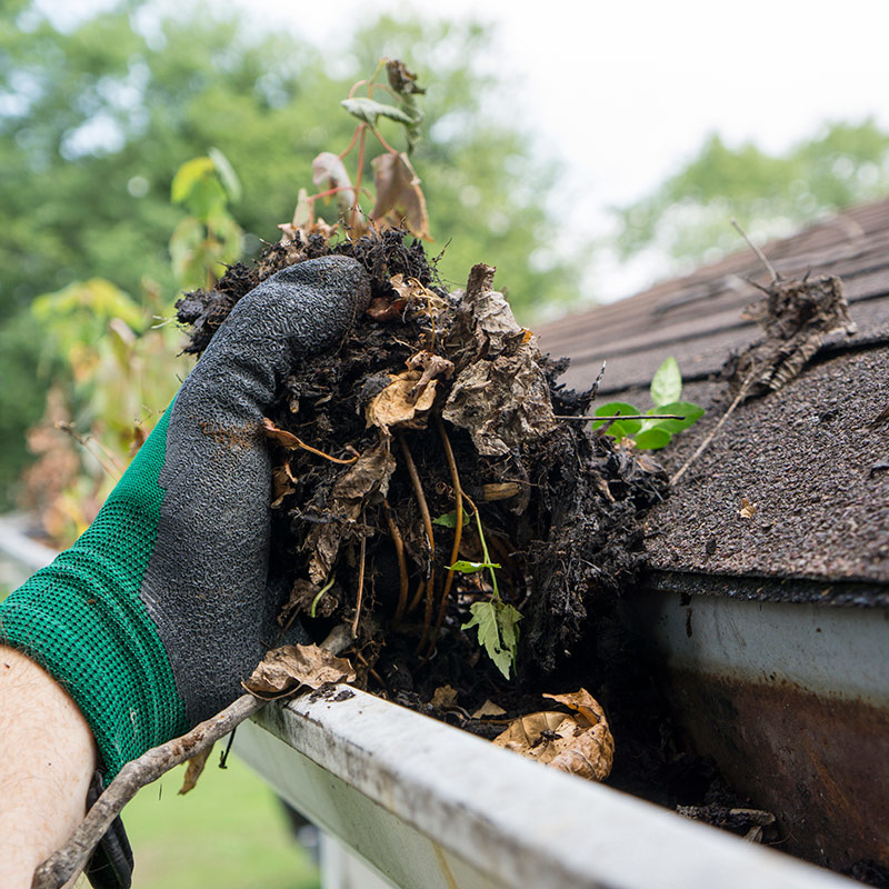 Gutter Cleaning Company in Charlotte NC